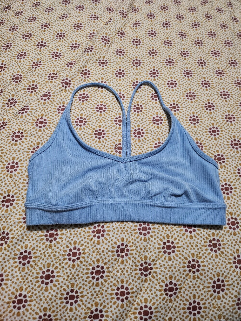 Alo Yoga Ribbed Blissful Bra in Blue Skies.